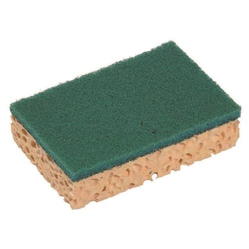 Spontex Schuurspons Sponrex 74